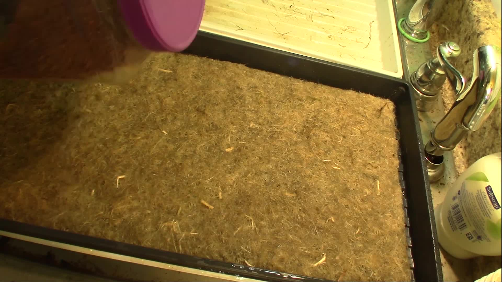Learning with Reverend O'Toole - Growing Microgreens On Hemp Mats