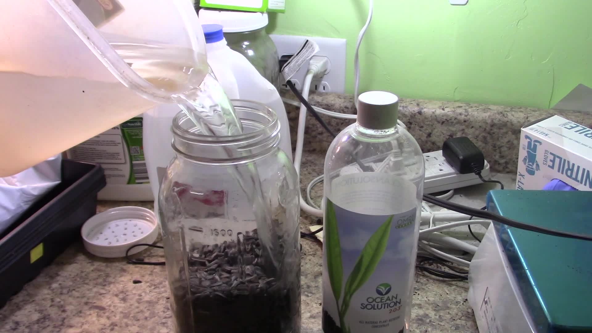 Learning with Reverend O'Toole - Growing MicroGreens Without Medium, Part 2