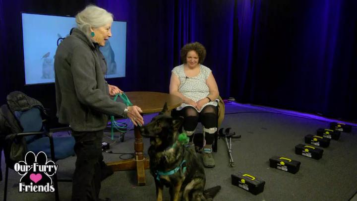 Thumbnail image for "Our Furry Friends" with Julia Hannigan - March 2026